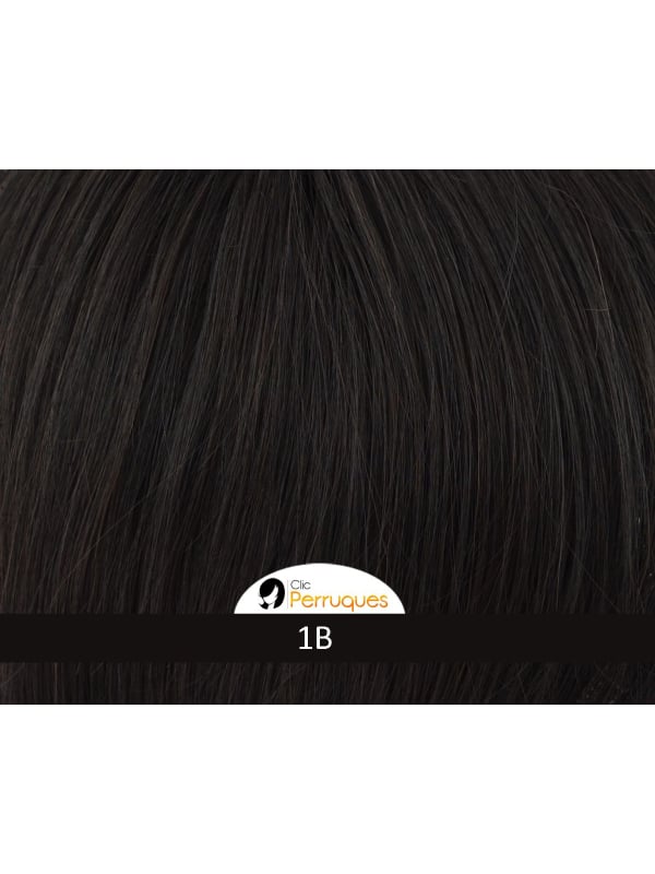 Adoptez American Salon perruque ondulée Gisela Mayer couleur présentée 1001/22-20+14