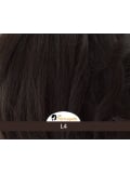 Queue de cheval wavy à clip 40 cm Gisela Mayer Clip Wavy Long, fibre synthétique, effet naturel (Golden Blond)