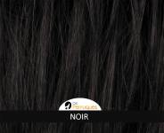 Recharge 100g Poudre de cheveux densifiante naturelle