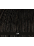 Vision Play Lace Part — perruque longue wavy, raie milieu, coloris R829S (rooted/mix)