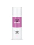 Shampooing Cheveux Naturels Ellen Wille – Soin auto-nettoyant, nourrissant et soyeux