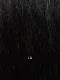 Perruque Prime Bob Lace HH Gisela Mayer : carré droit, lace front discret, cheveux naturels 100% Remy (20–27 cm)