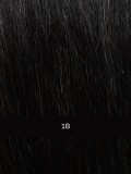 Prime Bob Lace HH Small Gisela Mayer : carré droit en cheveux naturels Remy, lace front tulle cinéma invisible, 20–27 cm