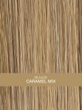 Perruque Encore Mono Ellen Wille : coupe courte Prime Hair, tulle invisible tempe à tempe, 11 coloris, rendu naturel.