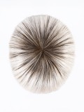 Perruque Cher Ellen Wille : longue, lisse et brillante, fibre thermo-résistante, effet racines (rooted) et balayage (mix).