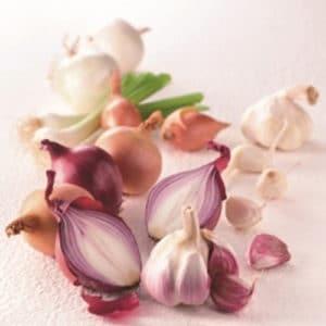 ail_oignons_anticancer