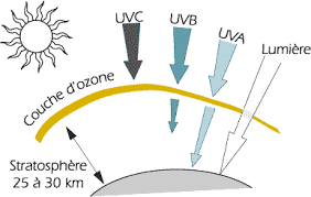 Schéma de la composition du soleil