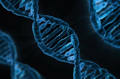 Henrietta Lacks et ses cellules immortelles : découvrez comment cette femme a fa